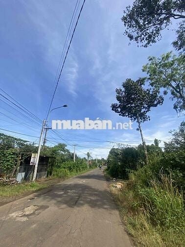 đất nền thổ cư sổ riêng hẻm xe hơi khu dân cư đông đúc