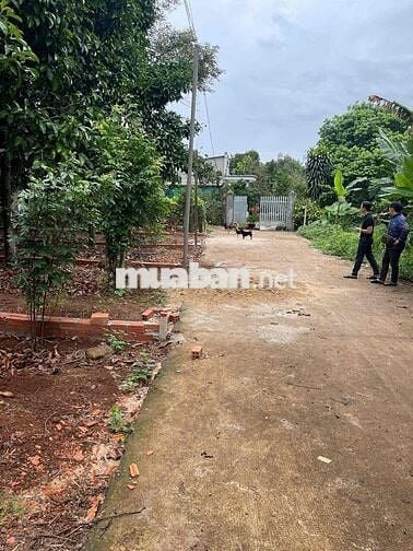 đất nền thổ cư sổ riêng hẻm xe hơi vào tới đất sat trục đường Lê A