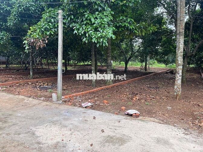 đất nền thổ cư sổ riêng hẻm xe hơi vào tới đất sat trục đường Lê A