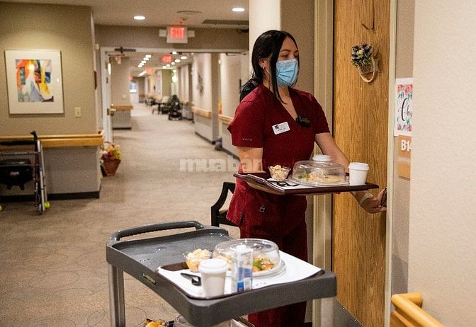 Tư vấn , xin Giấy phép làm Viện dưỡng lão cao cấp