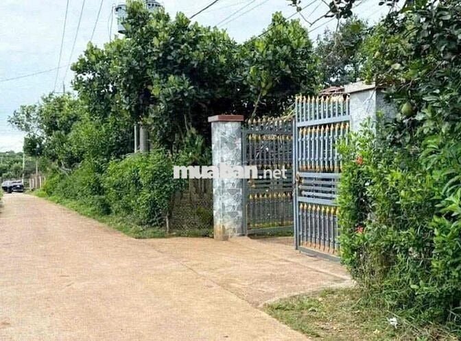 cần bán đất vườn 1000m2 sẵn 100m thổ cư