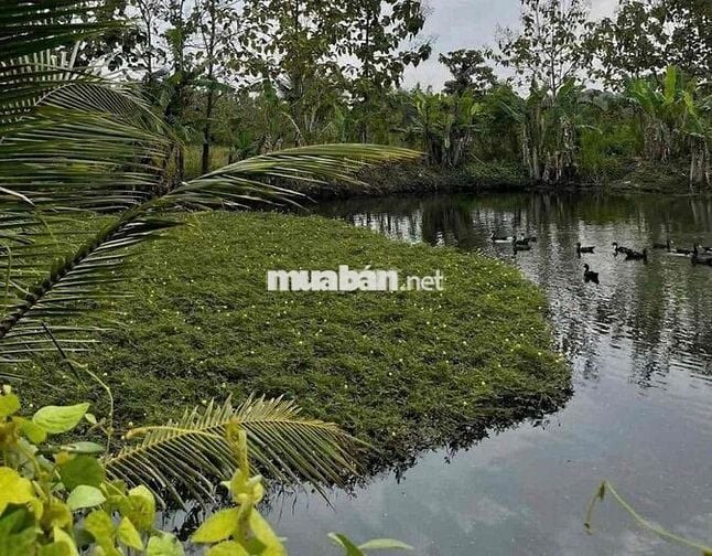 cần bán đất vườn 1000m2 sẵn 100m thổ cư