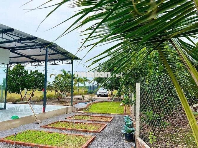 📣 CHÍNH CHỦ CẦN BÁN "RESORT TẠI GIA" - VIEW ĐỒNG QUÊ CỰC ĐẸP!