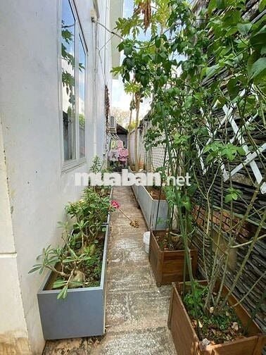 NHÀ SÂN VƯỜN 344M² - HẺM 218 TRẦN HƯNG ĐẠO