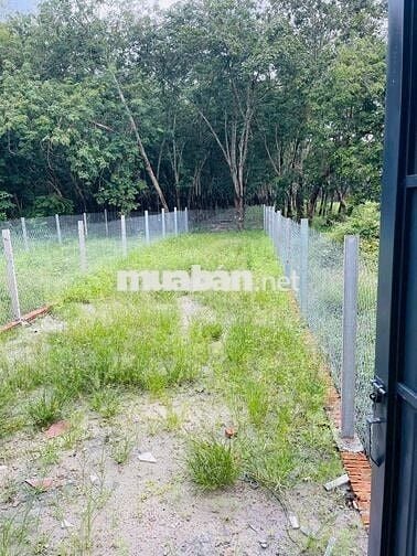 Cần thu hồi vốn làm ăn bán LỖ NHANH căn nhà Phường Minh Hưng