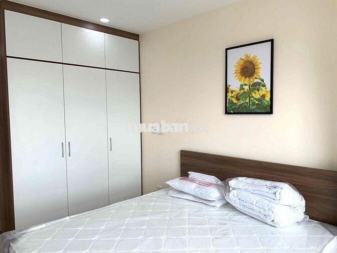 Cho thuê căn hộ chung cư Bonanza 23 Duy Tân, Cầu Giấy