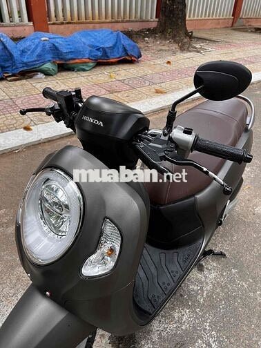 Honda Scoopy