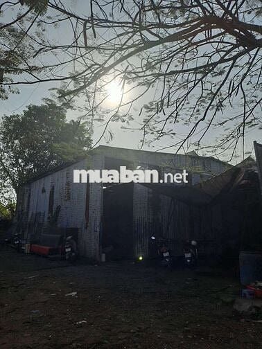 Cần cho thuê kho , xưởng sản xuất