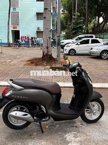 Honda Scoopy