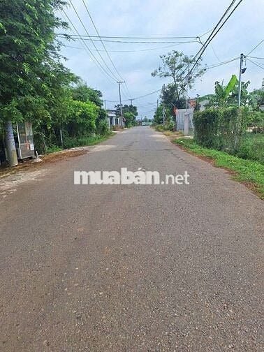 Chủ cần bán gấp căn nhà vườn 3000m² giá như cho 390tr