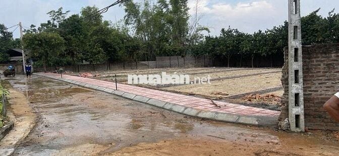 Đất Nền Đẹp Tại Phú Cát - Quốc Oai, Vị Trí Thuận Lợi - Giá Tốt