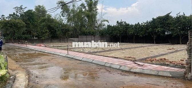 Đất Nền Đẹp Tại Phú Cát - Quốc Oai, Vị Trí Thuận Lợi - Giá Tốt