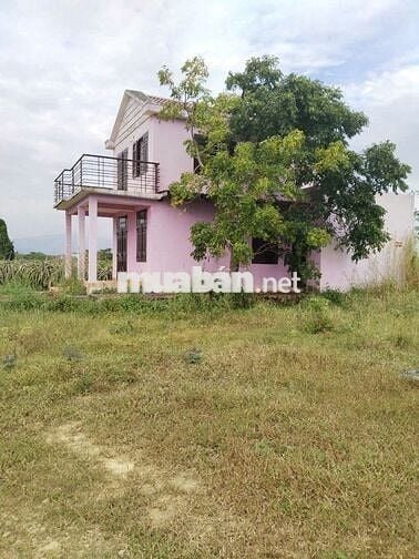 CHÍNH CHỦ BÁN ĐẤT HÀM THUẬN NAM BÌNH THUẬN