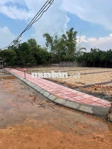 Đất Nền Đẹp Tại Phú Cát - Quốc Oai, Vị Trí Thuận Lợi - Giá Tốt