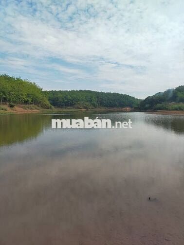 2 mặt tiền ( 1 nhựa - 1 đất ) cách Cụm CN Tân Hưng 500 mét 725tr