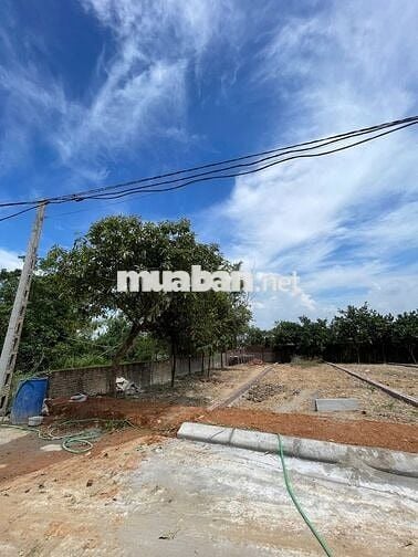 Đất Nền Đẹp Tại Phú Cát - Quốc Oai, Vị Trí Thuận Lợi - Giá Tốt