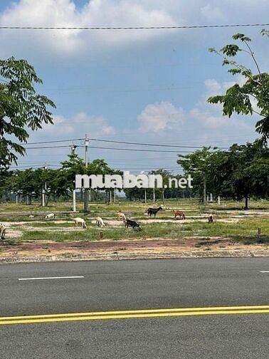 Đất trung tâm hành chính Lai Uyên Bầu Bàng giá 2 tỷ 850