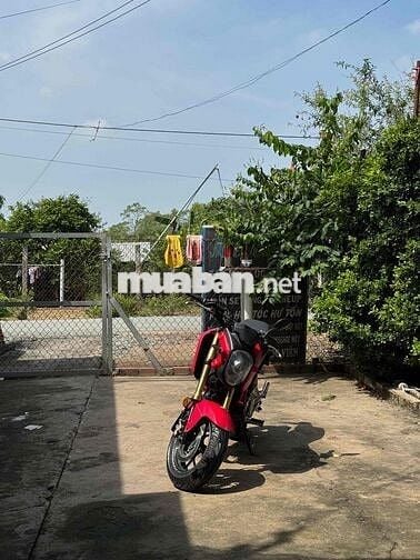 Honda MSX 125 2016 Đỏ