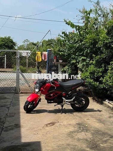 Honda MSX 125 2016 Đỏ