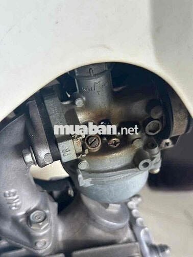 supper 2000 zin mộc chính chủ