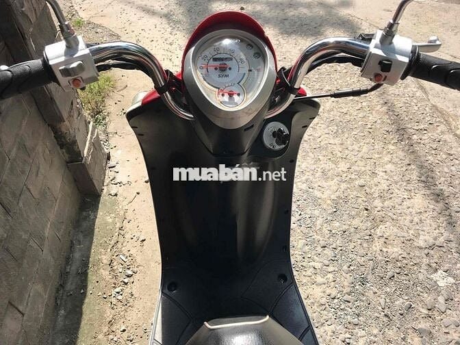 Tay ga SYM Elite 50cc Đài Loan
