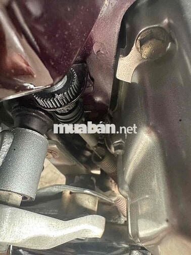 supper 2000 zin mộc chính chủ