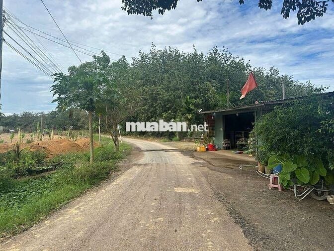 Bán gấp nền đất thổ cư  . Diện tích 346m2 .  Mặt tiền đường nhựa