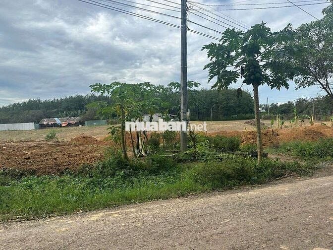 Bán gấp nền đất thổ cư  . Diện tích 346m2 .  Mặt tiền đường nhựa