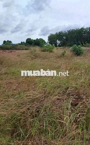 Đất nền thổ cư Đồng Phú sổ sẳn