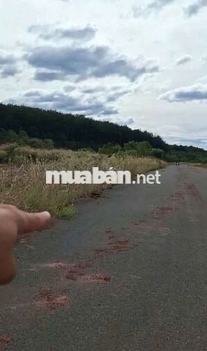 Đất nền thổ cư Đồng Phú sổ sẳn