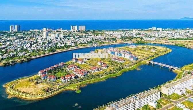 Còn *** 1 lô Hói Kiểng 19 giá 5060 tr