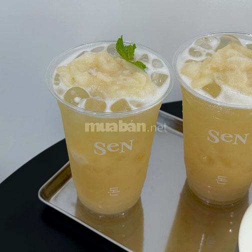 LY GIẤY-LY NHỰA -IN NHANH-GIAO SỚM