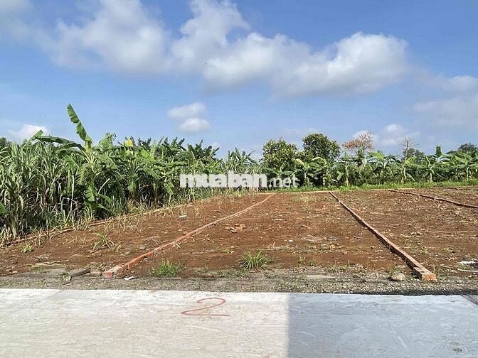 BÁN ĐẤT SÔNG TRẦU 19 GẦN NHÀ THỜ GIA TÔN CHỢ SỐ 9