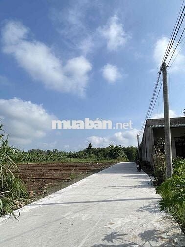 BÁN ĐẤT SÔNG TRẦU 19 GẦN NHÀ THỜ GIA TÔN CHỢ SỐ 9