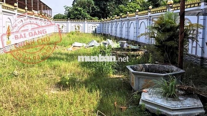 HÀNG THẬT ĐẤT THỔ CƯ MẶT TIỀN THỊ TRẤN CỦ CHI 391M2 530TR SHR FULL THỔ