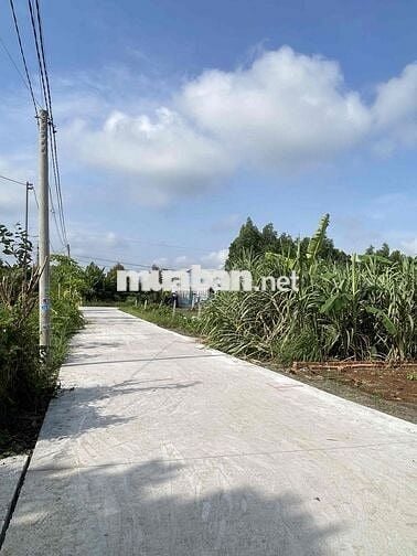 BÁN ĐẤT SÔNG TRẦU 19 GẦN NHÀ THỜ GIA TÔN CHỢ SỐ 9