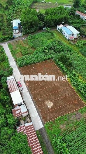 BÁN ĐẤT SÔNG TRẦU 19 GẦN NHÀ THỜ GIA TÔN CHỢ SỐ 9