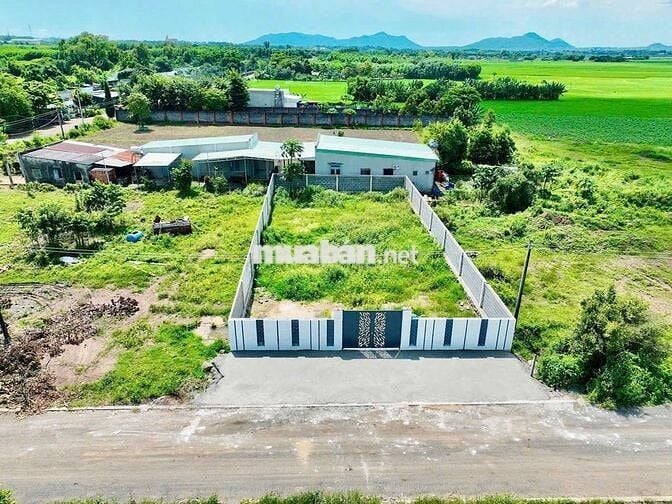 Cắt lổ cần bán gấp lô đất tại thị trần đất đỏ cách biển phước hải 10p