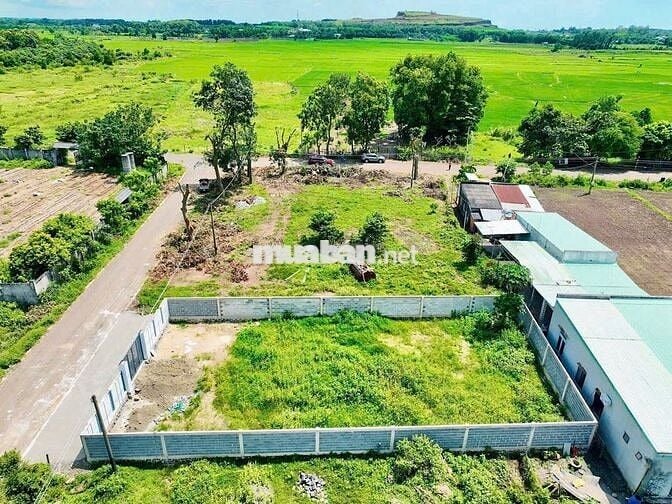 Cắt lổ cần bán gấp lô đất tại thị trần đất đỏ cách biển phước hải 10p