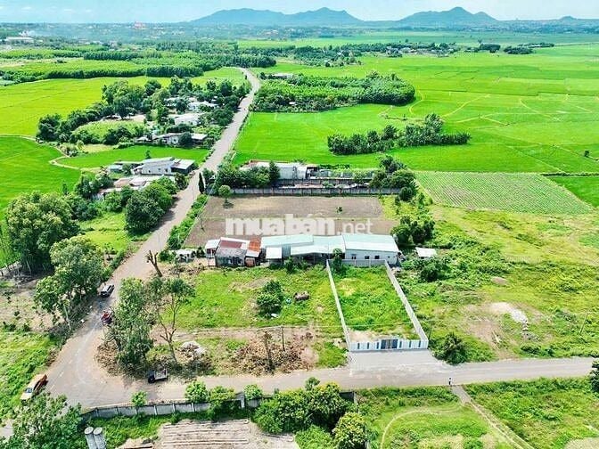 Cắt lổ cần bán gấp lô đất tại thị trần đất đỏ cách biển phước hải 10p