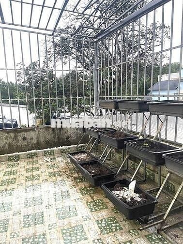 Cho thuê nhà mặt tiền gần Bệnh Viện Dĩ An