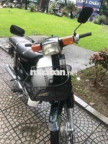 Cup 50 cc Korea 43 Đà Nẵng