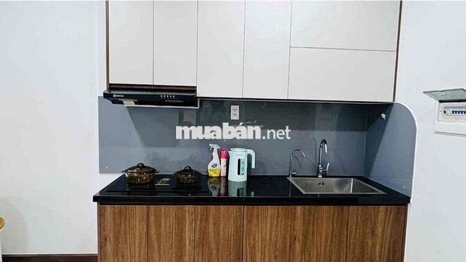 Cho Thuê Căn 2PN Bcons Sala Full Nội Thất 6tr/tháng