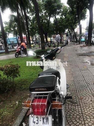 Cup 50 cc Korea 43 Đà Nẵng