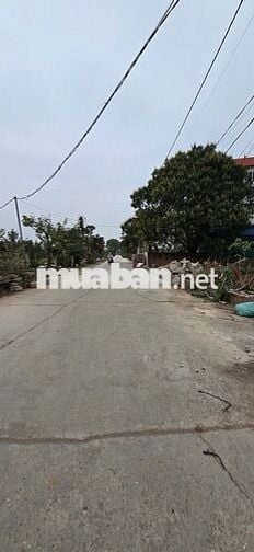 Bán Lô Đất Vàng 200m2 Tại Yên Vinh - Quang Minh  Hà Nội