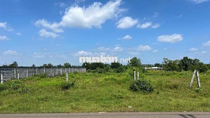 HỒ LỒ Ô - VIEW SUỐI - 1.000m² NGHỈ DƯỠNG LÝ TƯỞNG