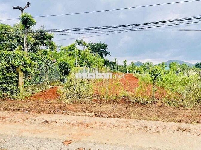 LÔ ĐẤT LÀM NHÀ VƯỜN RỘNG RÃI ĐẤT THÔN 8 CƯBUR (CŨ)PHƯỜNG BUÔN MA