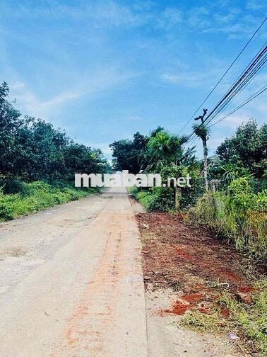 LÔ ĐẤT LÀM NHÀ VƯỜN RỘNG RÃI ĐẤT THÔN 8 CƯBUR (CŨ)PHƯỜNG BUÔN MA