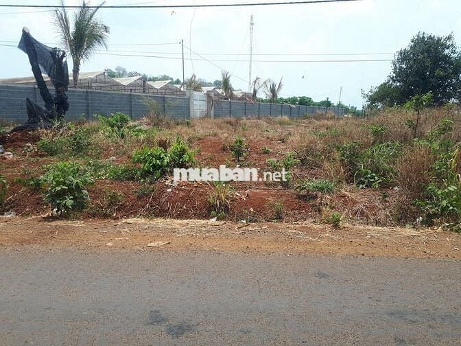 BÁN ĐẤT CỰC ĐẸP ĐƯỜNG NHỰA THỔ CƯ PHƯỜNG KHÁNH XUÂN