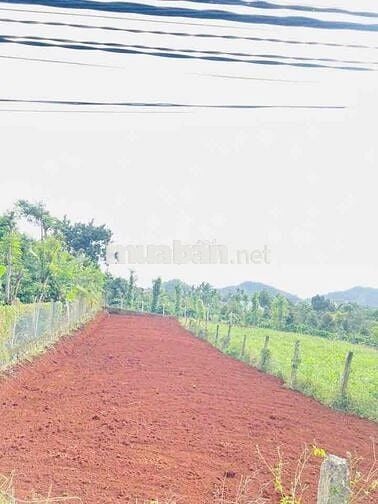 LÔ ĐẤT LÀM NHÀ VƯỜN RỘNG RÃI ĐẤT THÔN 8 CƯBUR (CŨ)PHƯỜNG BUÔN MA